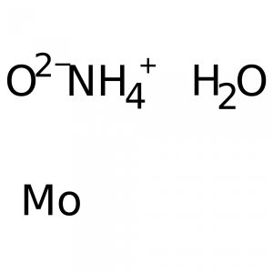 Molibdenian amonu